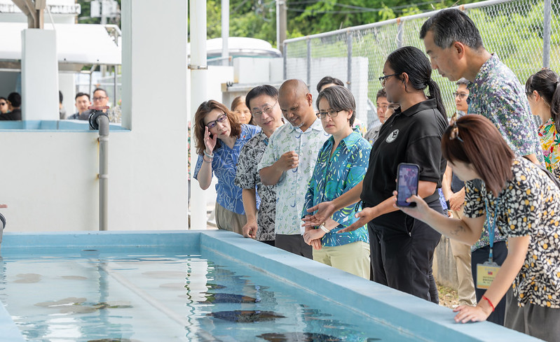 Vice President Hsiao inspects Malakal Island development plan and visits Palau National Aquaculture Center and giant clam conservation center