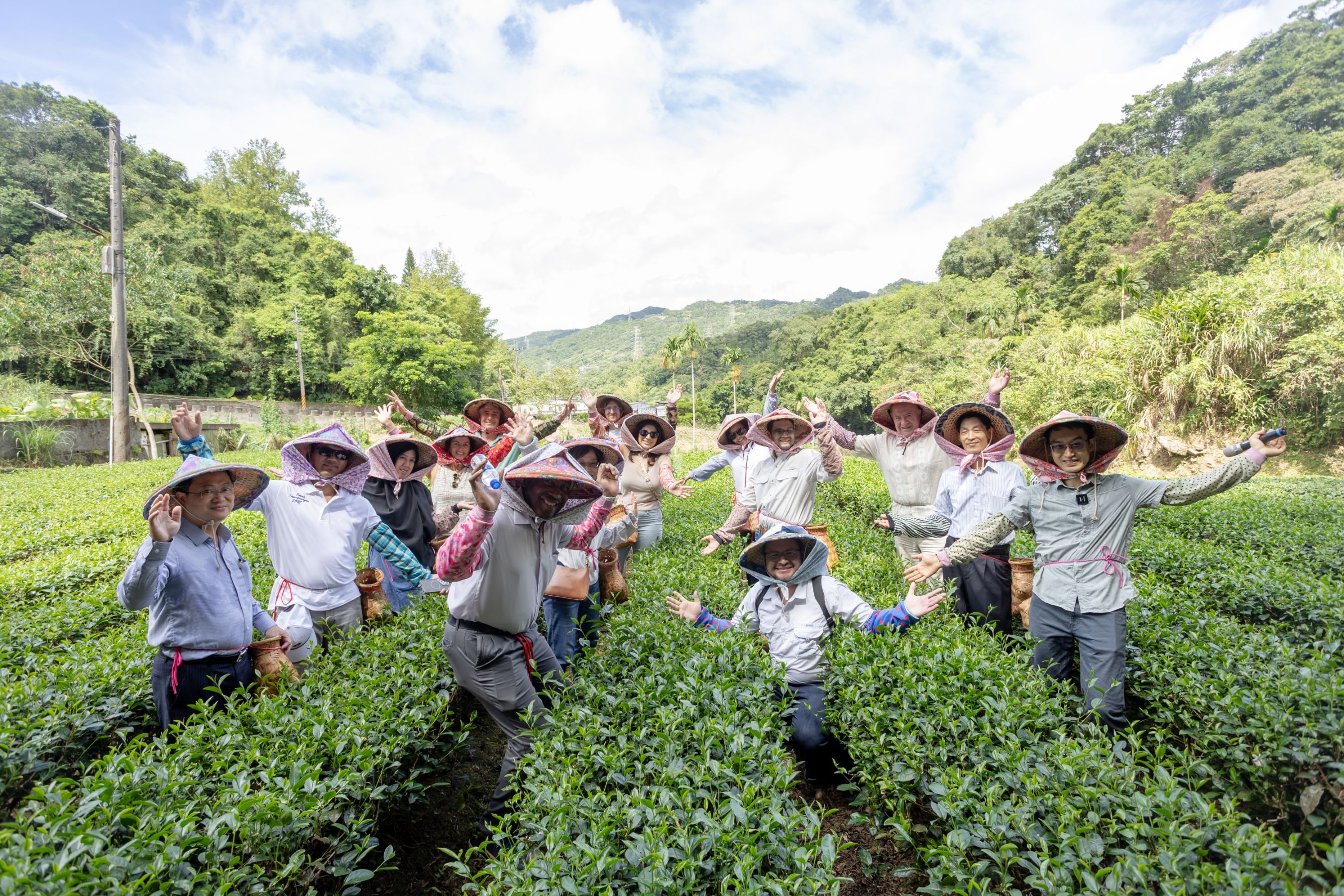 Foreign Envoys Explore Pinglin’s Tea Country – An Immersive Journey into Taiwan's Hidden Gem