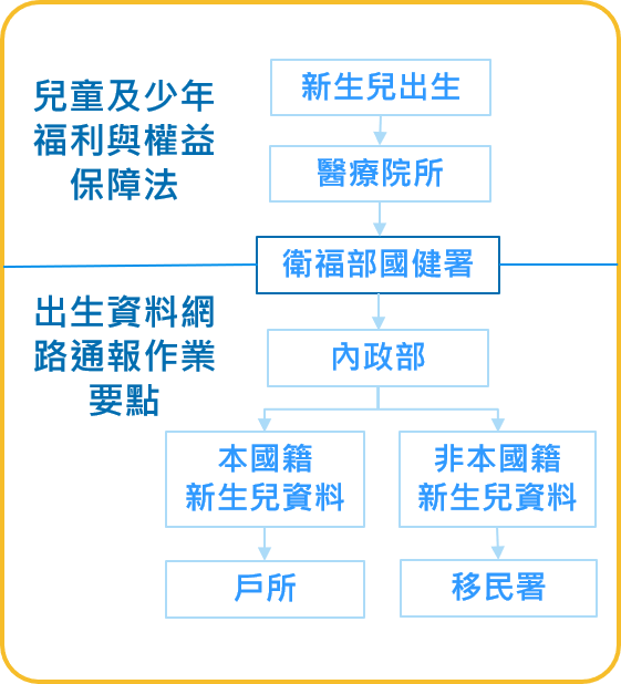 新生兒出生通報及登記流程圖